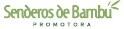 Senderos de Bambú – Vive Rodeado de Naturaleza